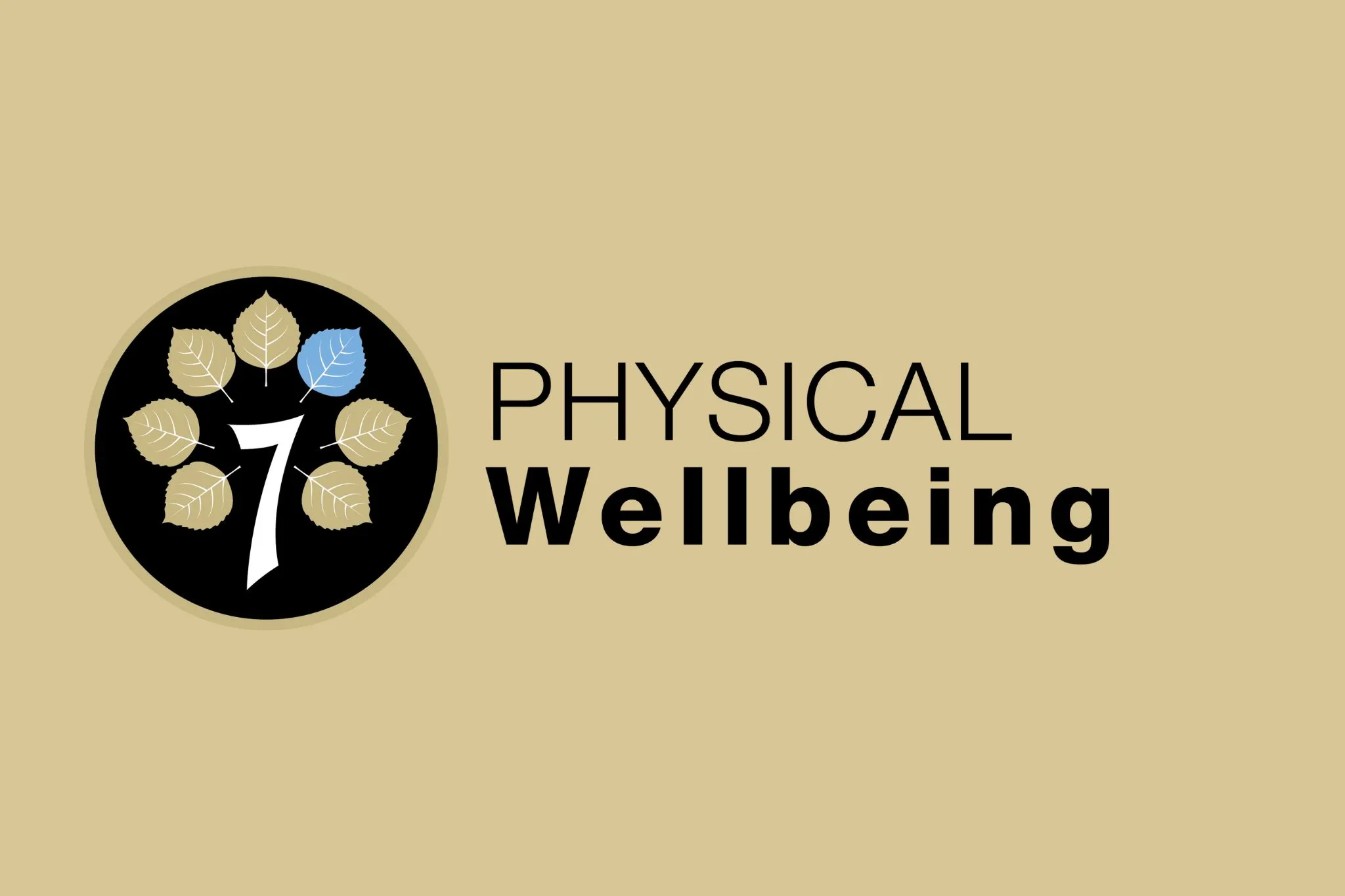 Physical Wellbeing logo