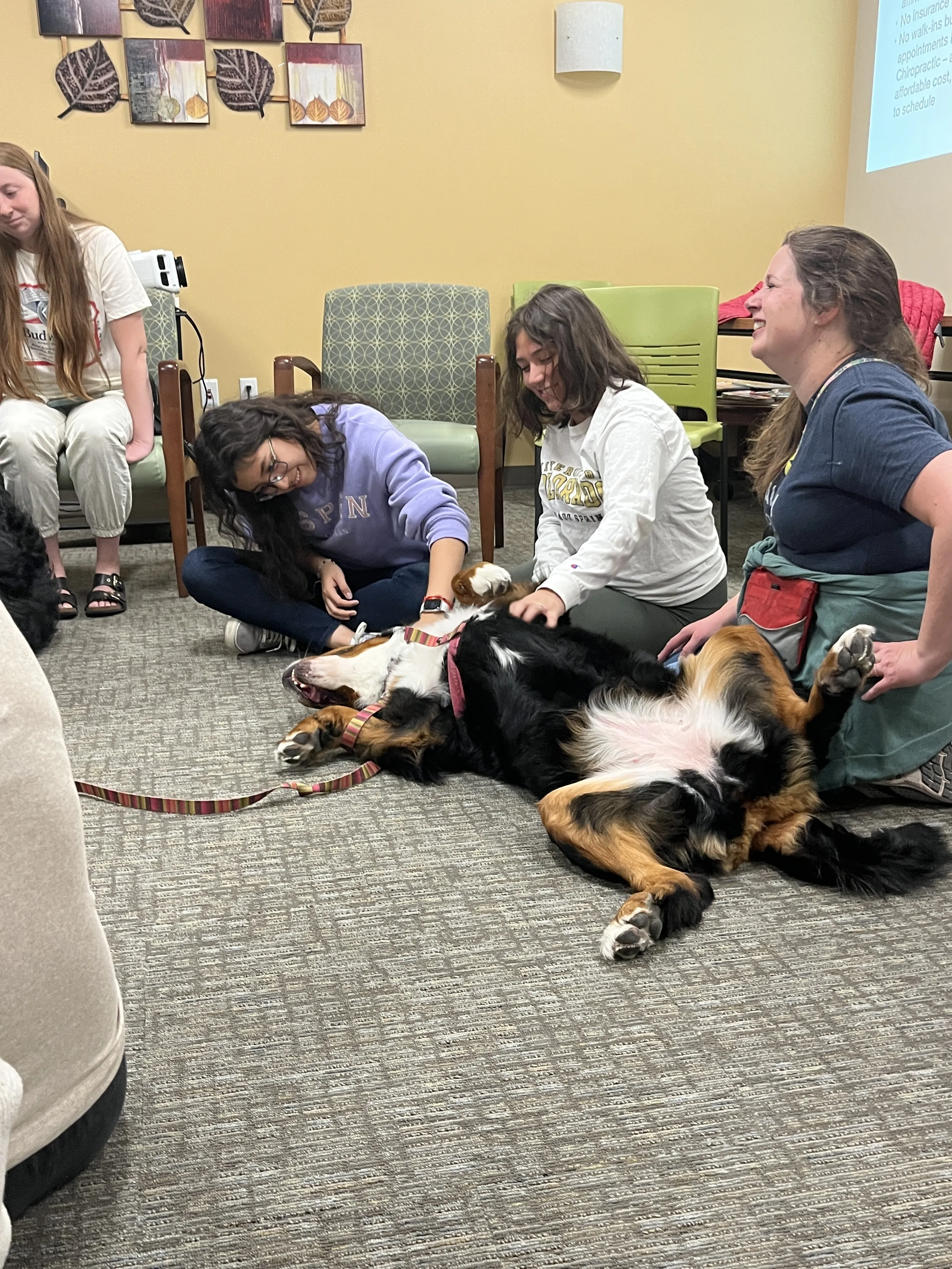 Canine Connections Dogs