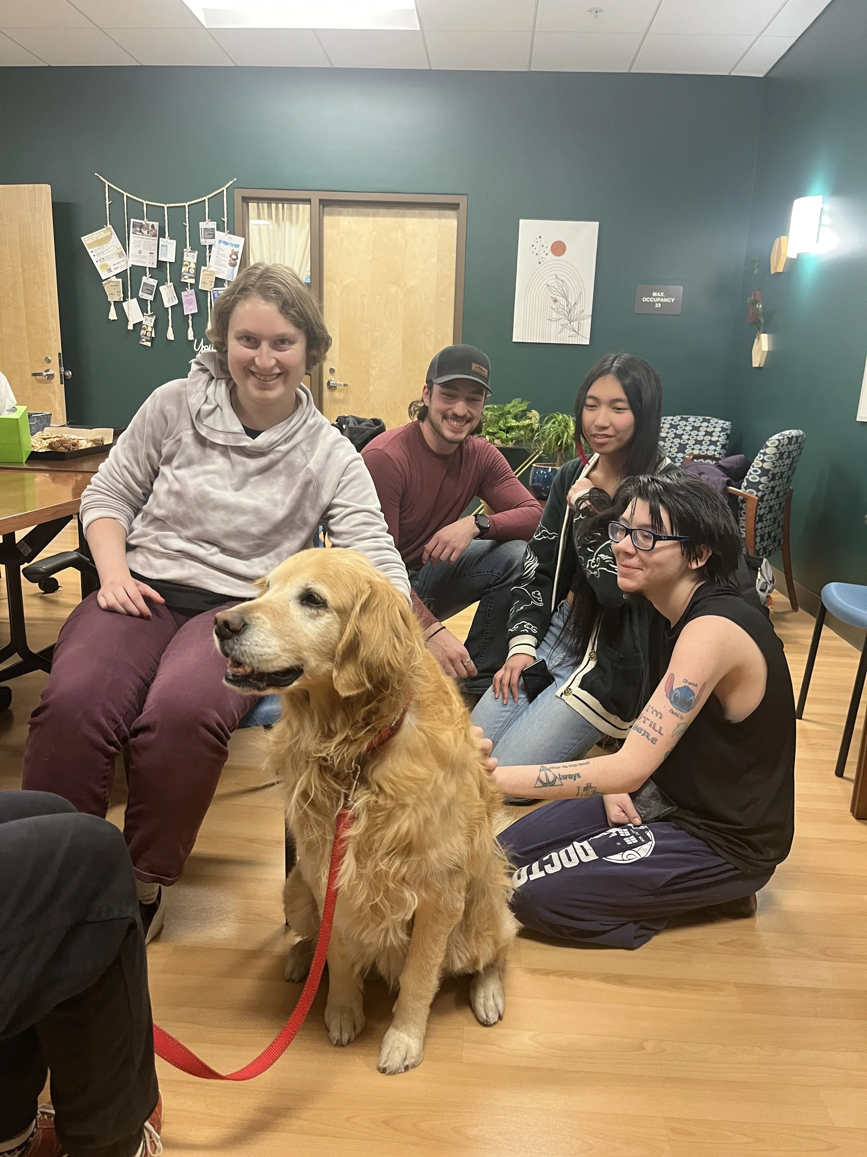 Canine Connections Dogs